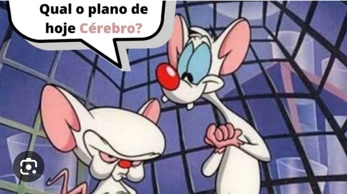 Fracassa mais um plano de Pink e Cérebro para dominar Ariquemes